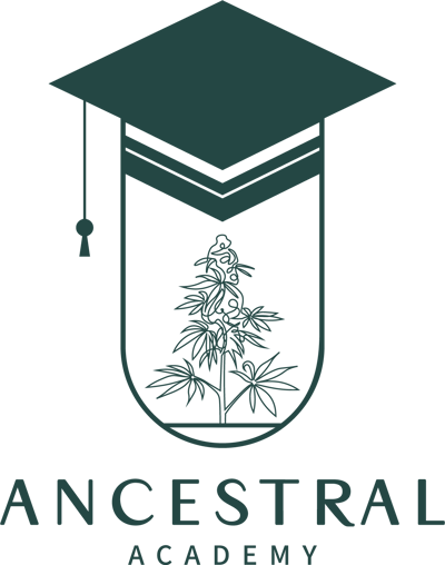 AAcademyLogo