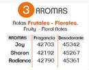 FrutalesFlorales1