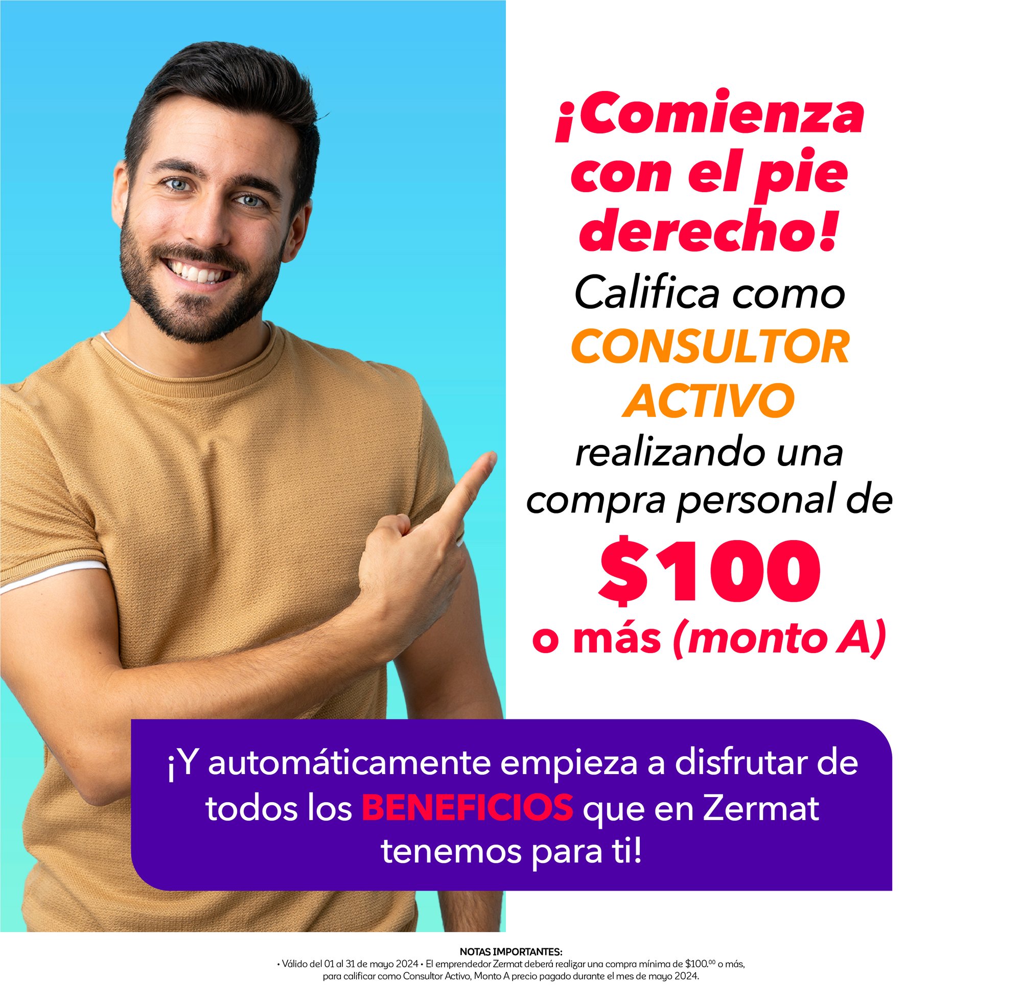 consultor activo