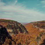 georgia-1